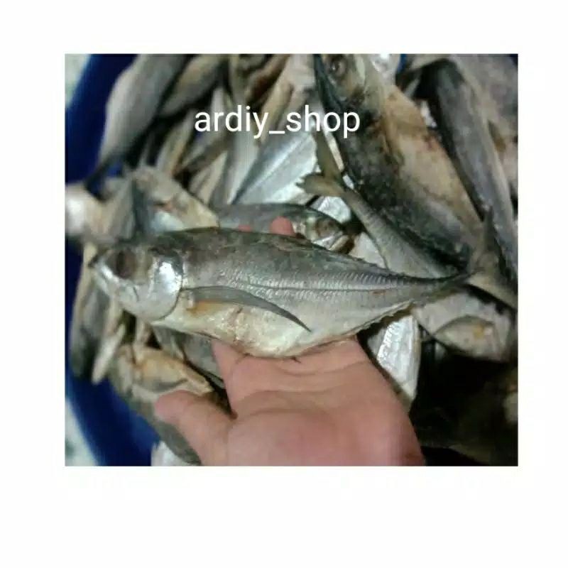 

ikan asin cincaru isi 250 Gram