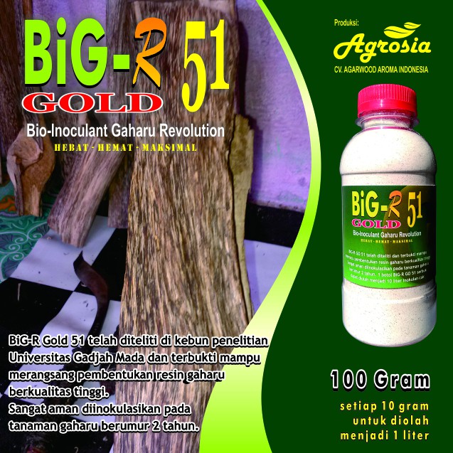 BiG-R Gold 100 gram - Inokulan Pembentuk Gubal Gaharu Terbaik
