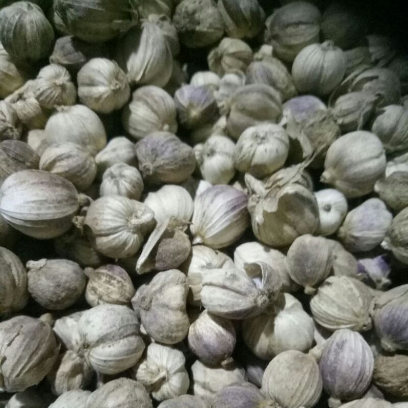 

kapulaga kering 250g