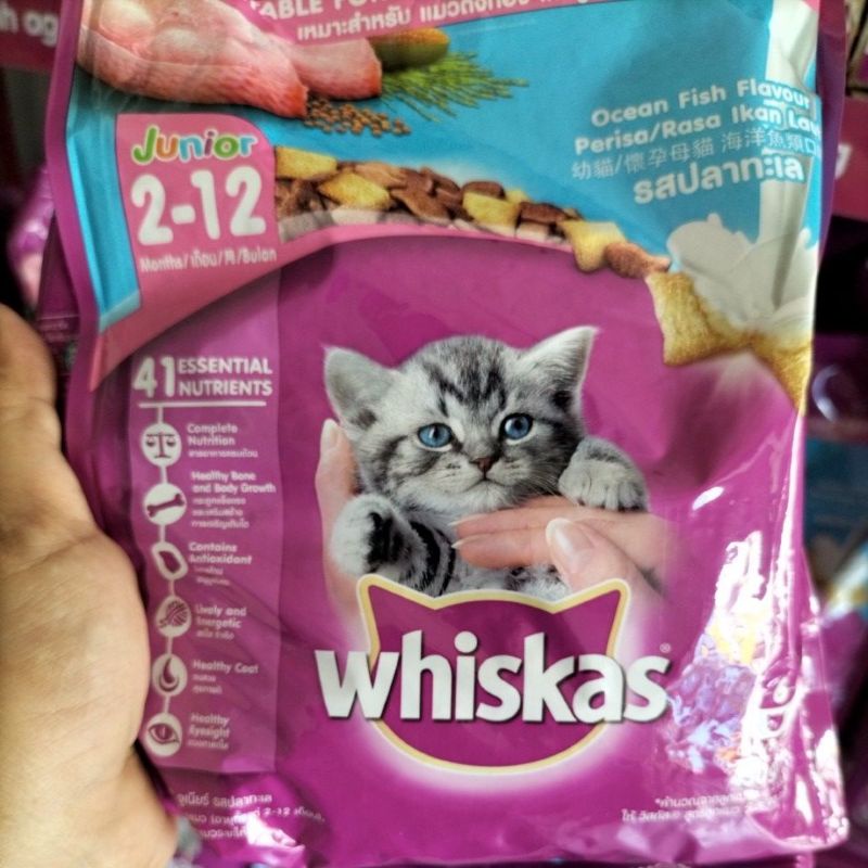 whiskas junior/kitten mother and baby cat 450gr