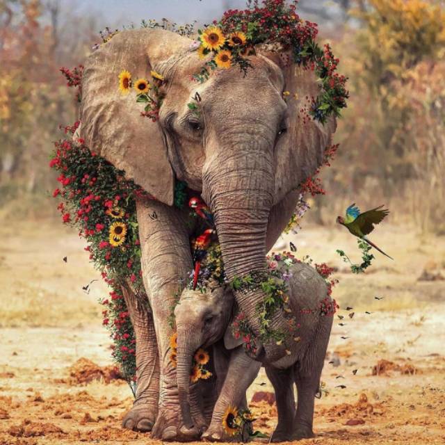 astridpriciliasyulianti