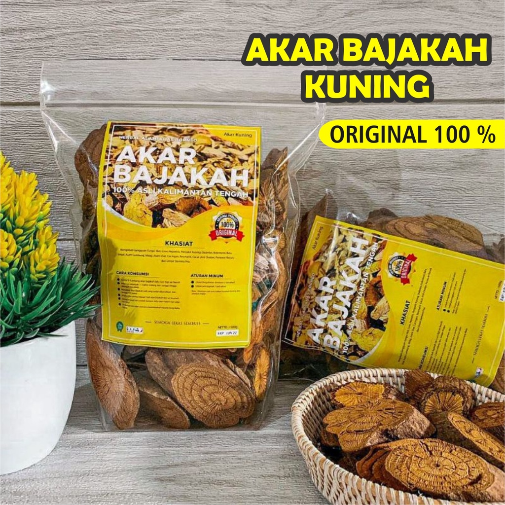 

Akar Kayu Bajakah Kuning, untuk Liver, Diabetes Stamina Pria Asli kalimantan