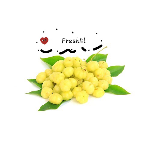 

FreshEl - BUAH CERMAI / BUAH CERMEI SEGAR DARI POHON 250GR