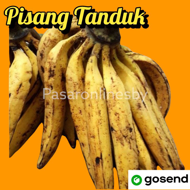 

PASAR GUBENG - Pisang Tanduk / Pisang candi