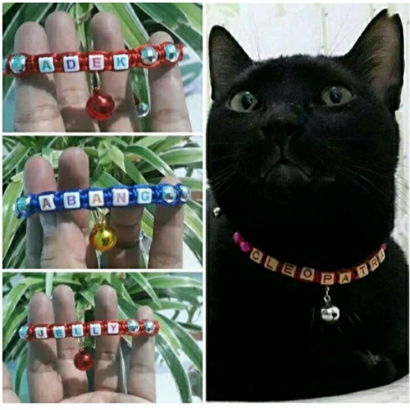 Kalung kucing nama / kalung kucing / kalung nama kucing,