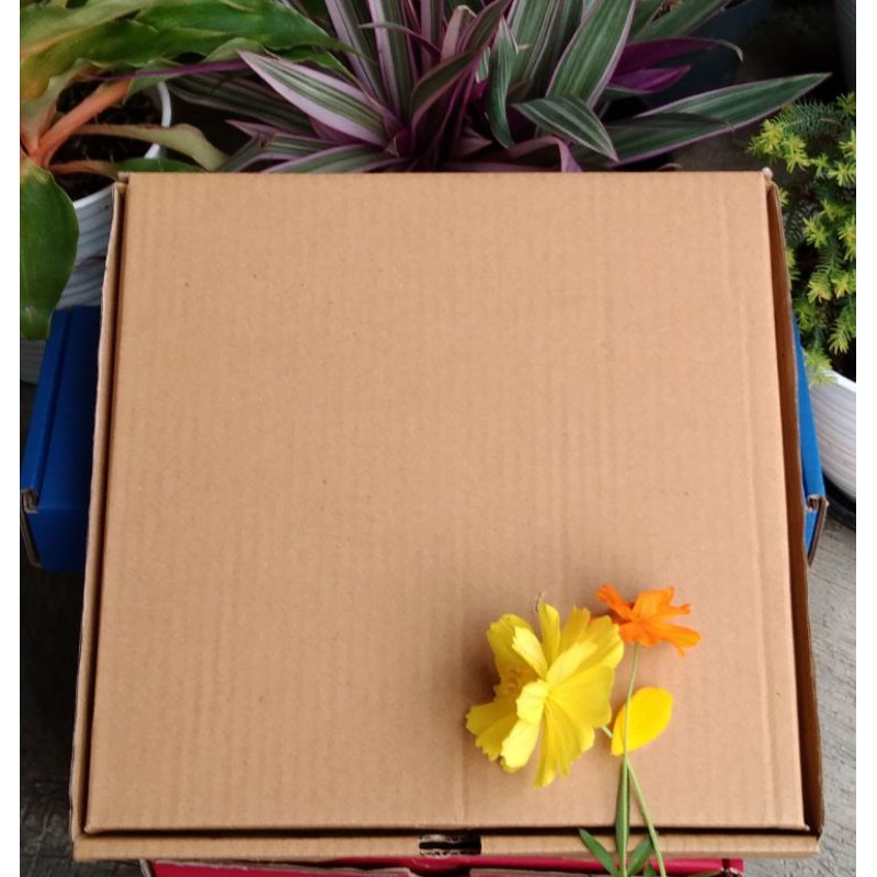 

Box 35x35x4 cm Kardus/Box/Pizza/Karton Coklat Polos