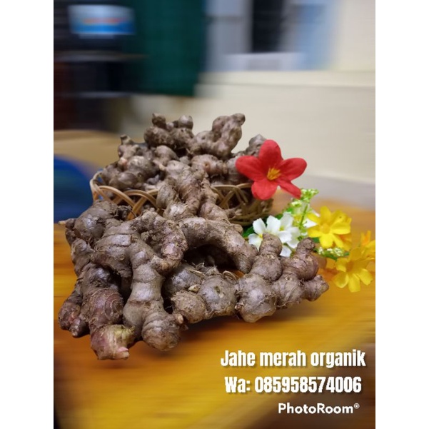 

Jahe merah