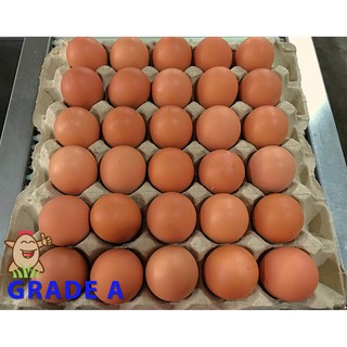 Jual Telur Ayam SPNI Jumbo (Grade A 30 Butir) Sortiran Mesin Indonesia