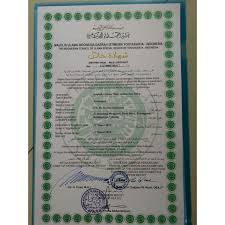 STAMIN|OBAT Ejakulasi Dini Ampuh | Mengobati Impoten, Mani Encer, Susah Terangsang, Libido ORIGINAL-8