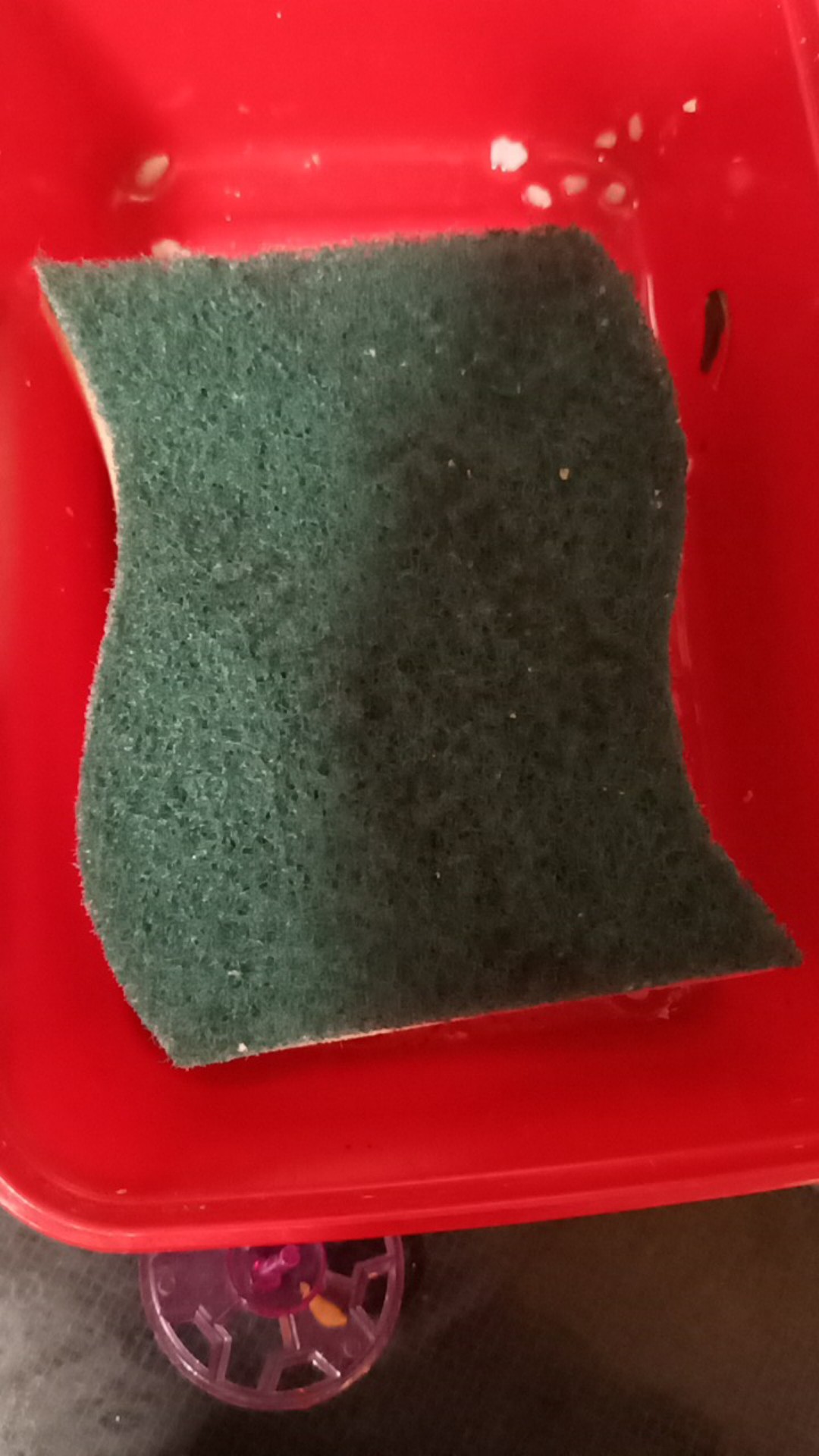 Scotch Brite Sabut Spons Hijau Id-30 Barcode 8992806000303 Spon Cuci Piring