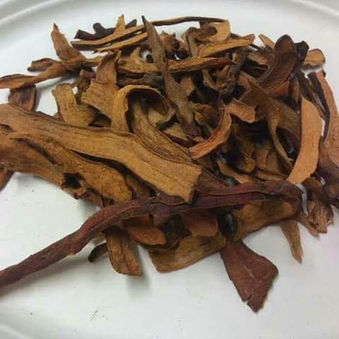 

100 GRAM GU SUI BU FORTUNE DRYNARIA RHIZOME RHIZOMA DRYNARIAE