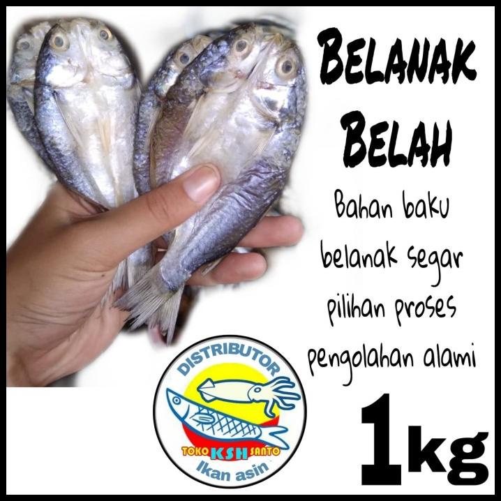 

Ikan Asin Belanak Belah 1Kg