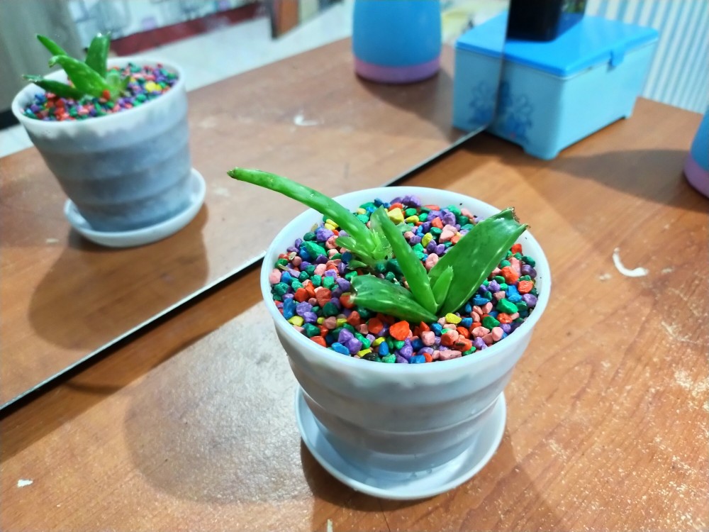 So Klin Lantai - Sensasi Baby & Fine Fragrance - Limited Edition - Refill 800ml