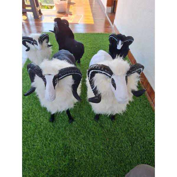 MINIATUR DOMBA GARUT