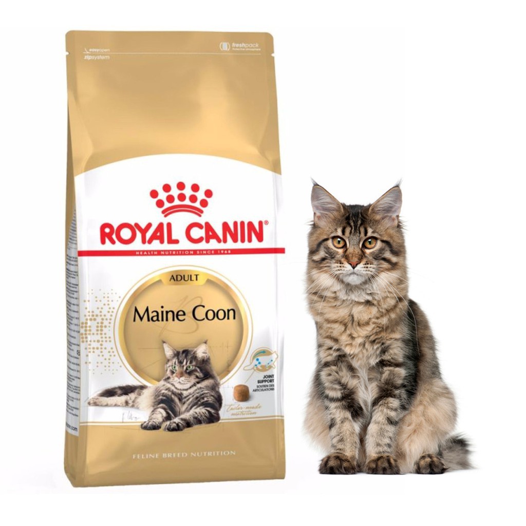 Royal Canin Adult Maine Coon 4 Kg