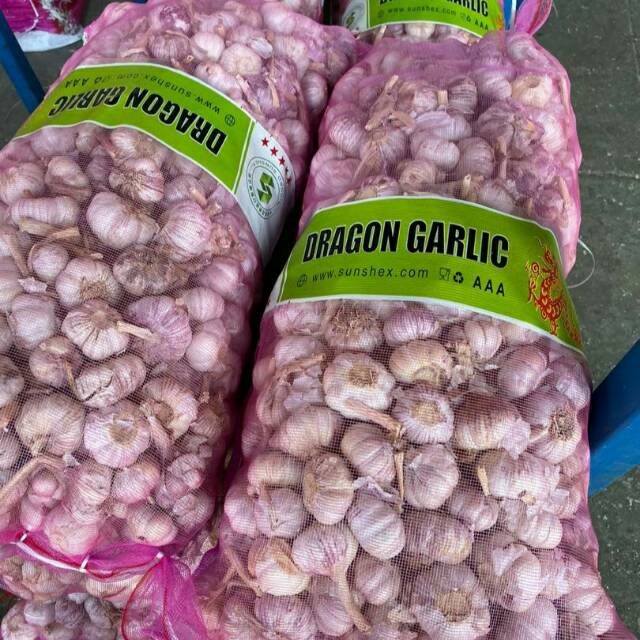 

Bawang Putih Kotor