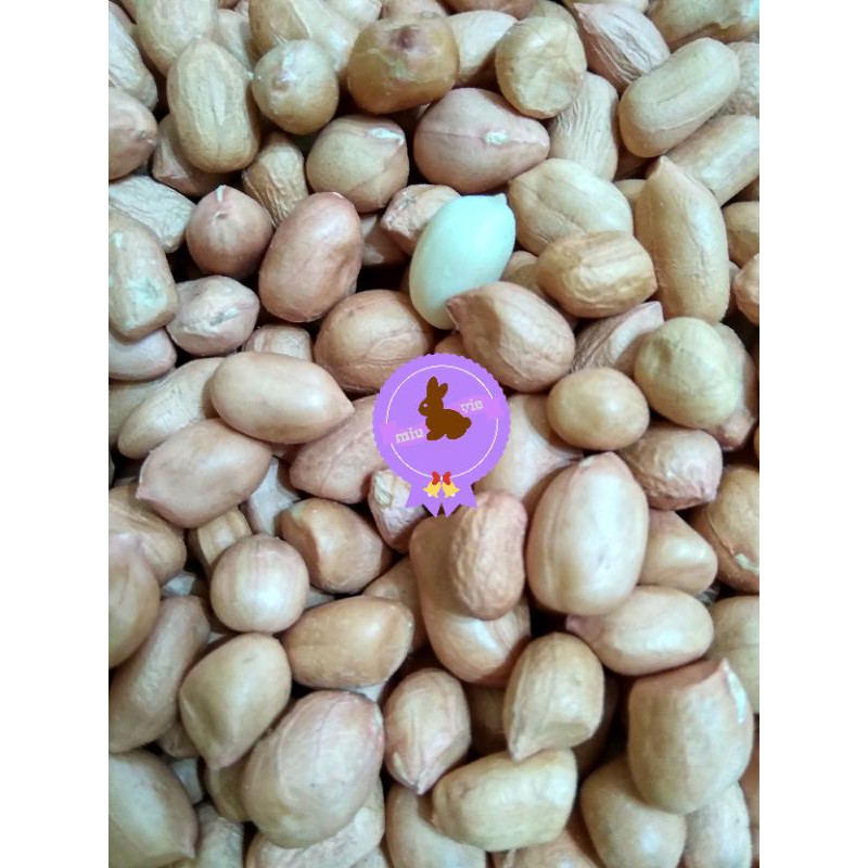 

Kacang Tanah Mentah 250 gr