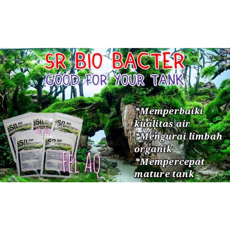 SR Bio Bacter 10g Bacteria Starter Bubuk Bakteri Aquarium Aquascape Serbuk Pengurai Amoniak Amonia