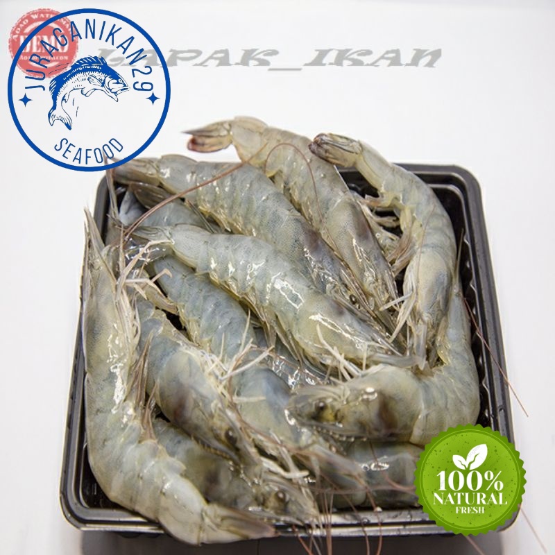 

Udang Vaname Segar Size 65/70 1~Kilogram