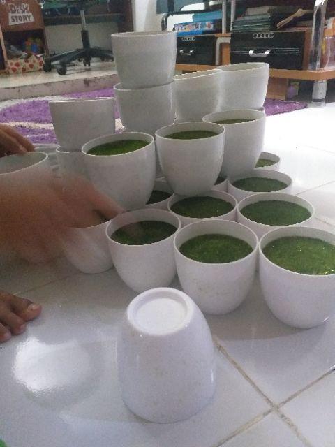 COD TL88 POT BUNGA PLASTIK MODEL BULAT DAN PETAK WARNA COD TL88 POT BUNGA PLASTIK MODEL BULAT DAN PETAK WARNA
