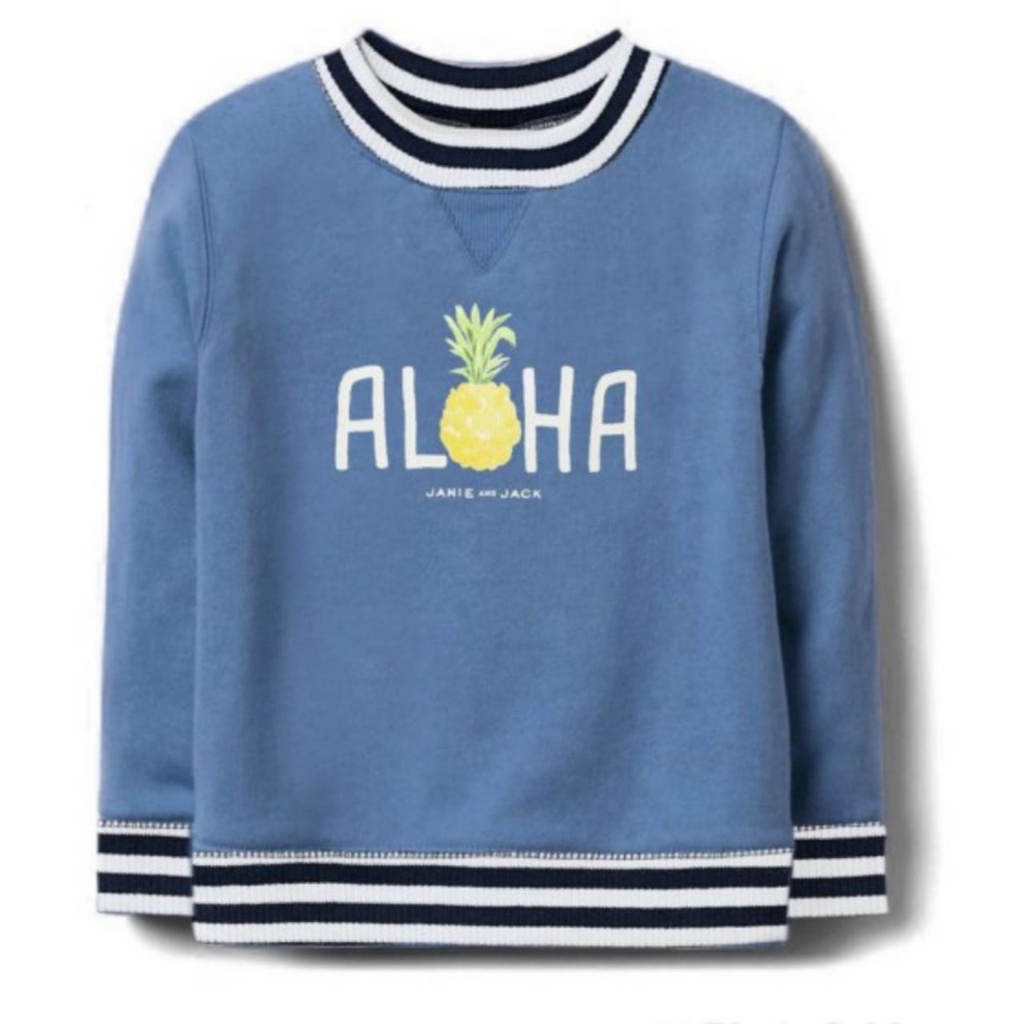 Sweater Bayi Janie and Jack Branded Sweater Anak Bayi Cowok Motif Sweater Anak Unisex
