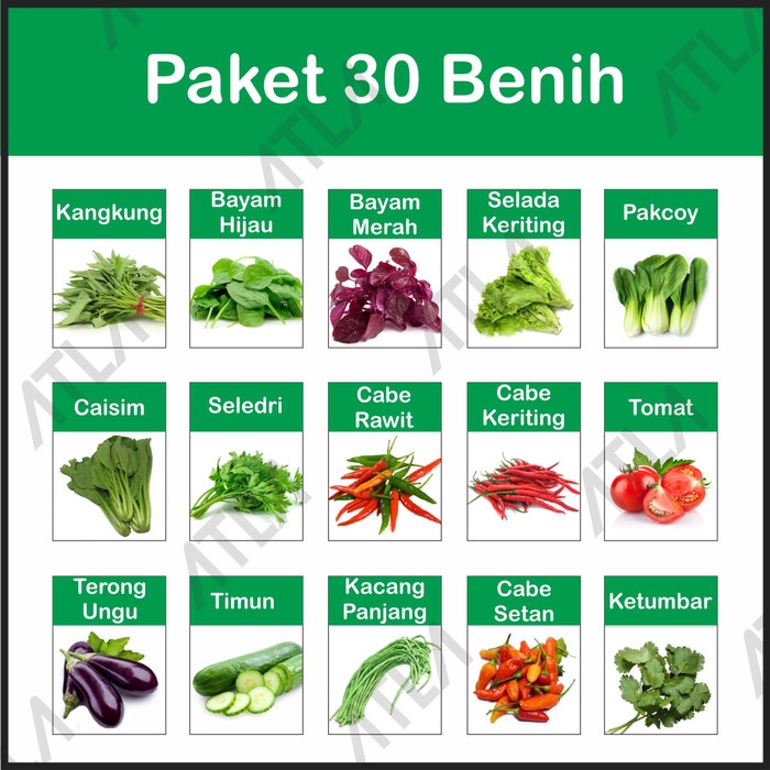 PROMO Paket 30 Benih Kebun Hidroponik Biji Bibit Jenis Sayur Sayuran Lengkap