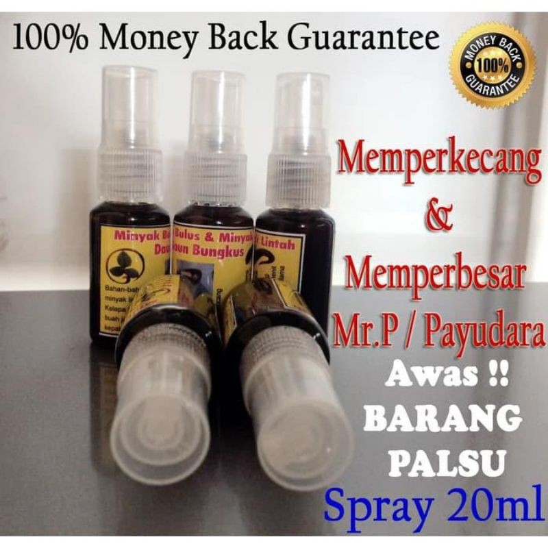 Minyak Bulus + Lintah Hitam + Daun Bungkus 100% Asli Papua