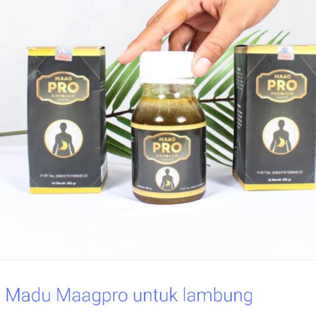 Maagpro premium, herbal khusus maag akut, gerd dan asam lambung