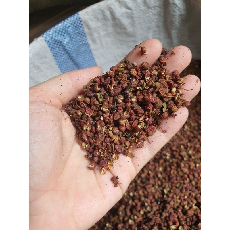 

sichuan mala / huajiao / peppercorn 50 gram / merica china / szechuan lada