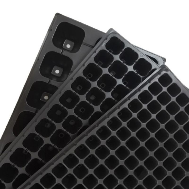 Tray Semai Lubang 200 Tebal dan Murah