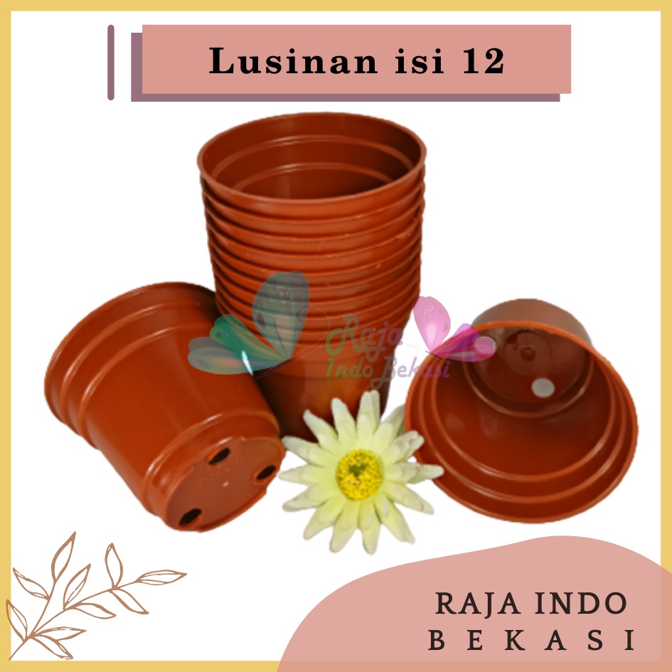 Lusinan Murah Pot Bunga 8cm Coklat Merah Bata Grosir Pot Tanaman Plastik 8 Cm Pot Kaktus 8CM Coklat Sekulen