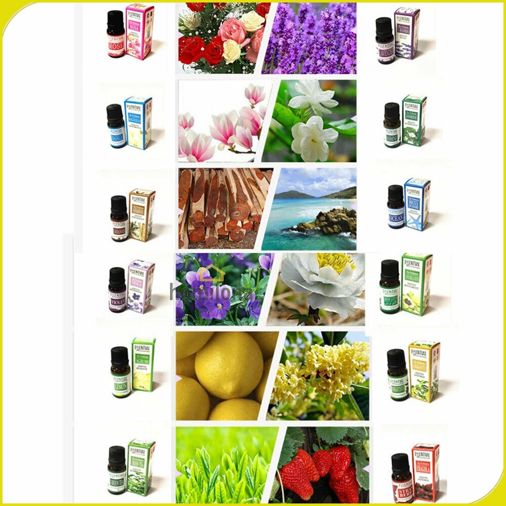 Pure Essential Oil Aromatherapy Diffuser 10ml - OUSSIRRO EOL10 / Minyak Aromaterapi Essensial Murni Humidifier Pengharum Pewangi Ruangan  Jasmine Lavender Rose