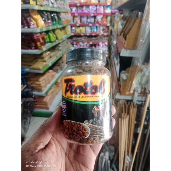 trotol EBOD pakan lolohan murai batu