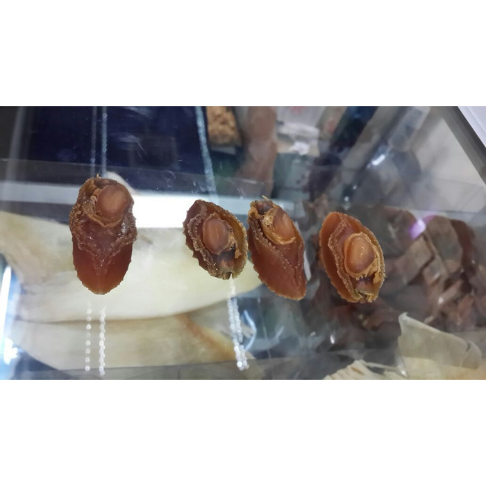 

Kkeanashop Kerang Abalone Kering Per 100Gram Ukuran 4-5 Cm