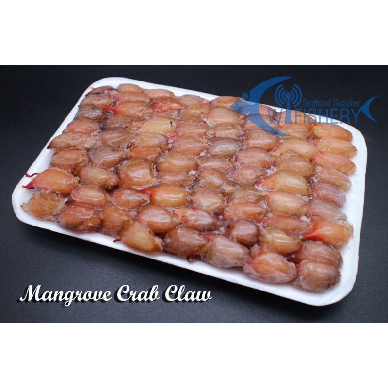 

Daging Lengan Kepiting Bakau - Mangrove Crab Claw