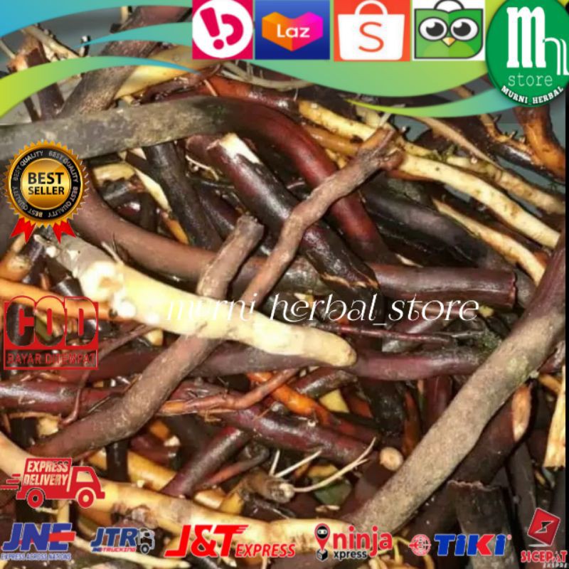 

Akar Kelapa Hijau Segar 100 gram