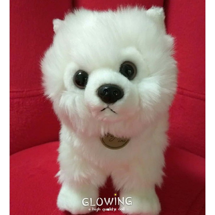 Boneka Anjing Pom Putih Mancung