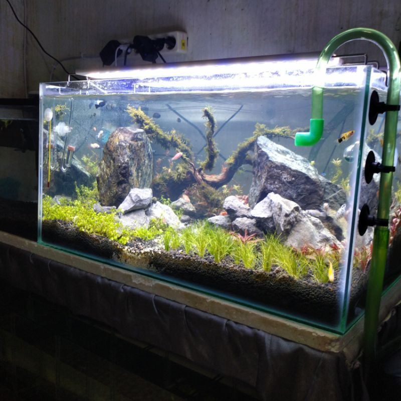 tabung co2 aquascape 5kg full set