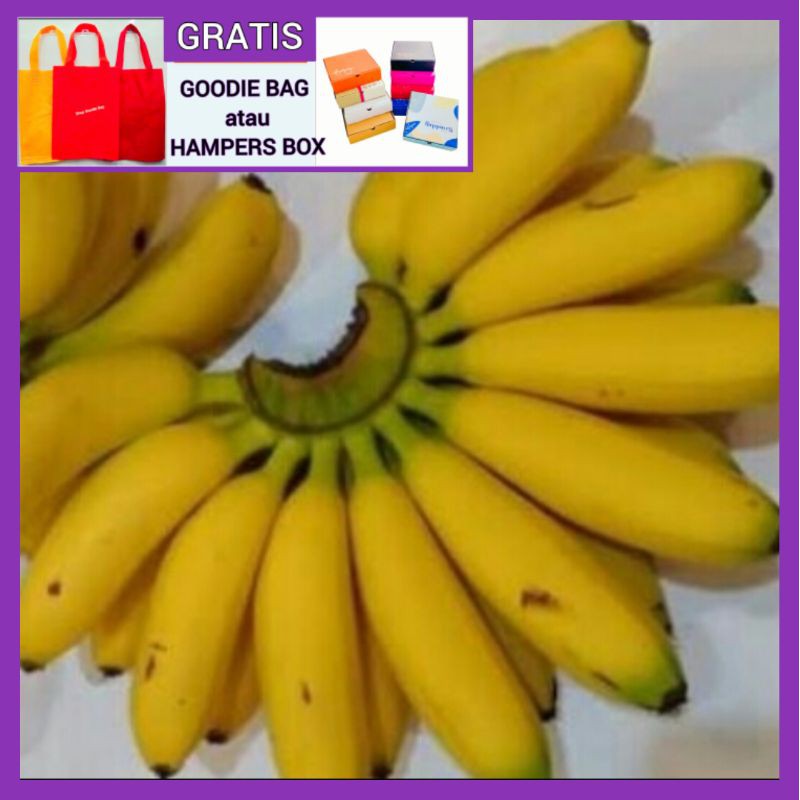 

Pisang Emas Buah Segar IBAZA fruitsBOX