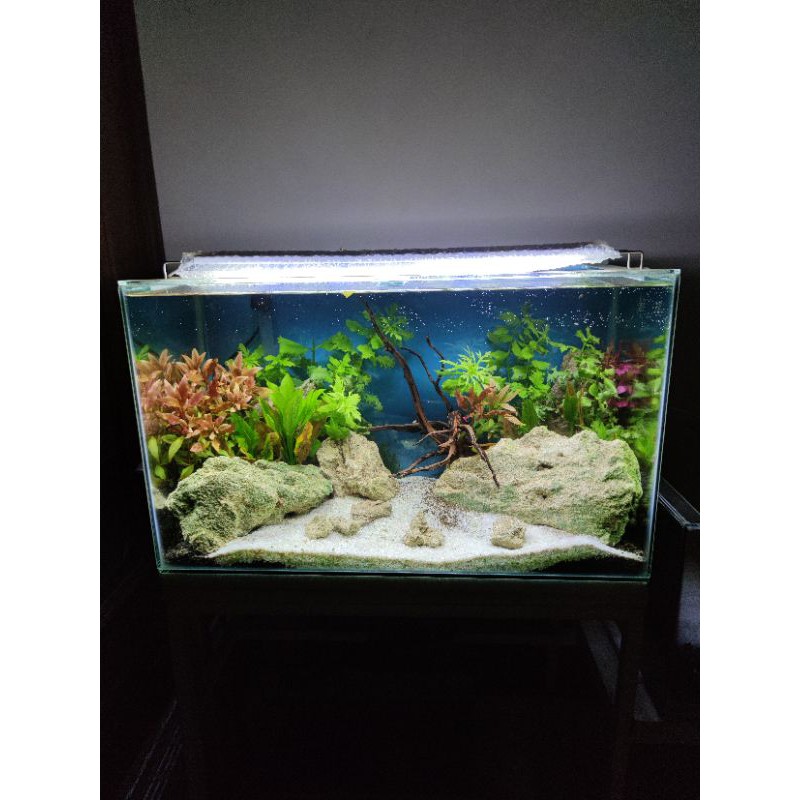 Aquarium Full Set Aquascape 60T