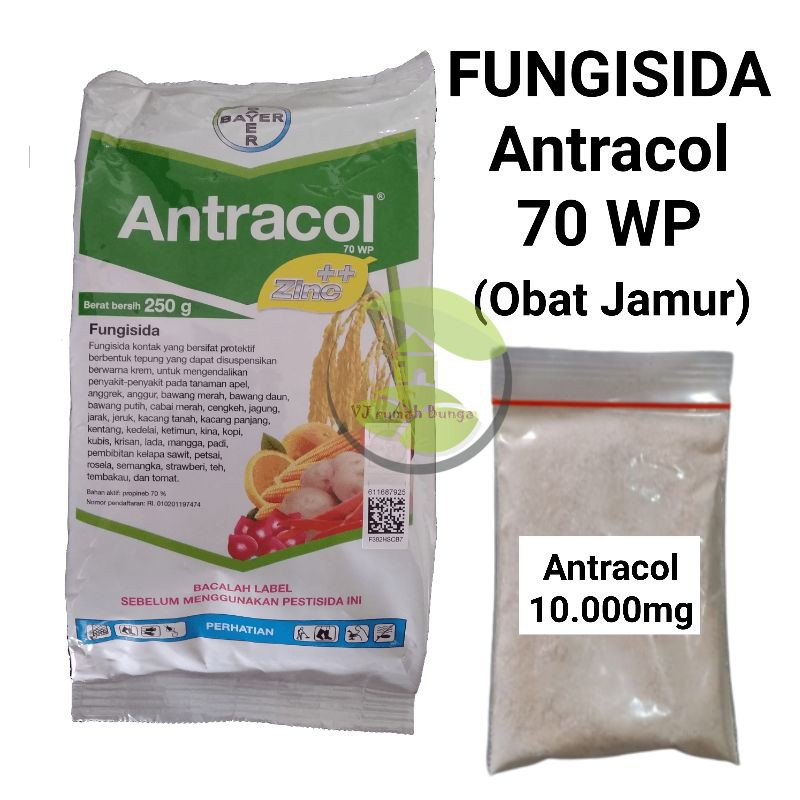 Pembasmi Jamur Tanaman Antracol Kemasan Repack - Fungisida Tanaman