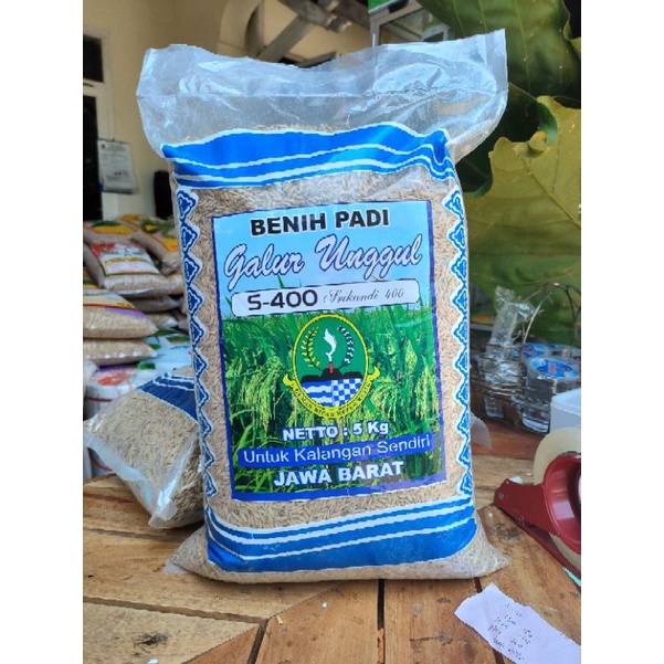 Benih Padi Genjah 85 Hari HST Srikandi 400 SR400 Kemasan 5 kg