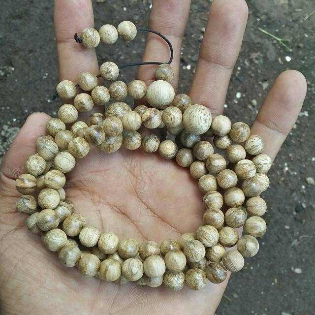 Tasbih budha gaharu malaccensis kalimantan