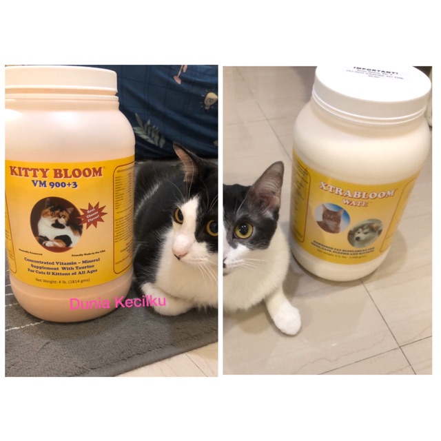 (Paket) Kitty Bloom VM 900+3 50g & Xtrabloom WATE 50g