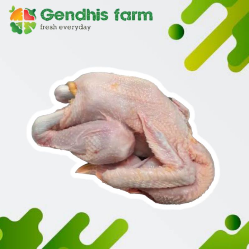 

Ayam Kampung Segar - Utuh / Potong [1 ekor / -+ 1 kg]