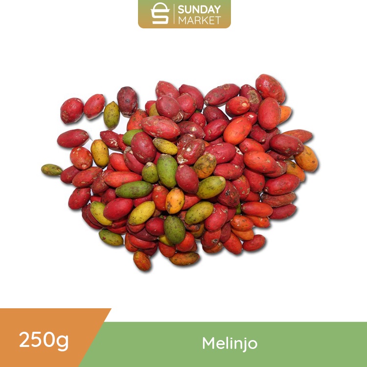 

Melinjo Utuh [ 250gr] .