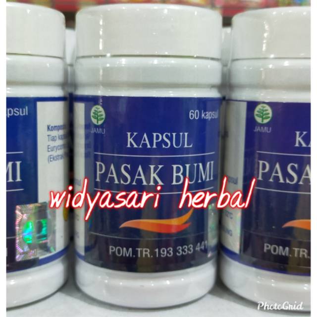 KAPSUL PASAK BUMI AL GHUROBA