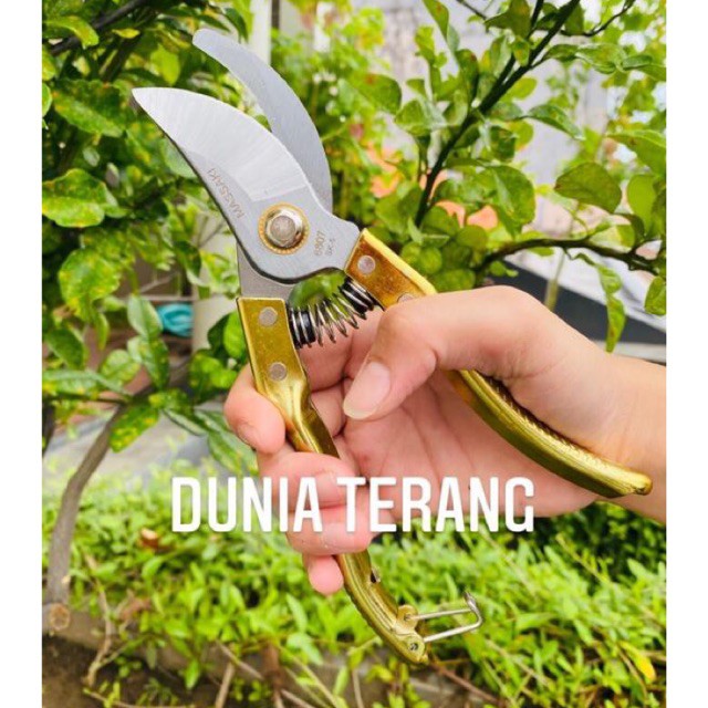 Gunting Dahan MASSAKI 8'' 8inch Stek Ranting Tanaman Bunga Bonsai Stainless Steel - TYPE : 6807