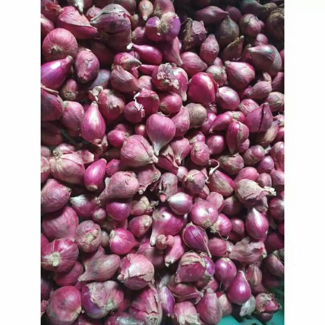 

Bawang merah brebes pilihan besar