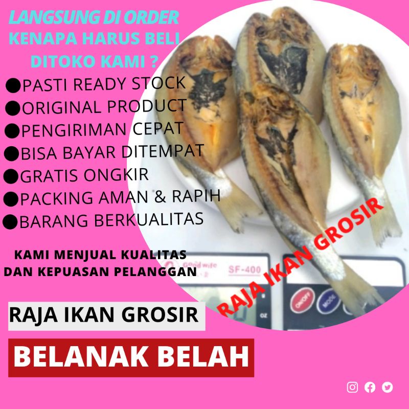

IKAN ASIN MURAH 1 KG BELANAK SEGAR BAGUS